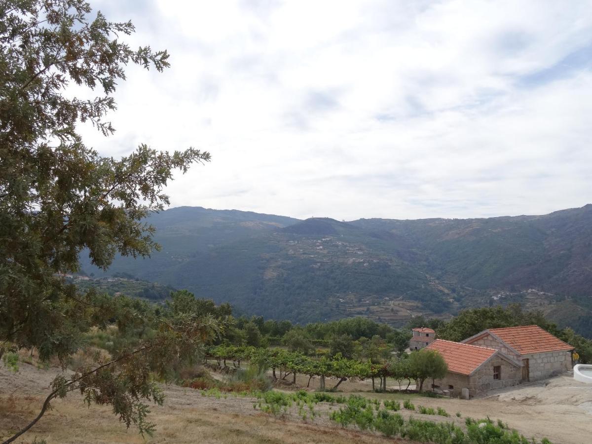 Quinta De S. Cipriano Villa Resende Luaran gambar