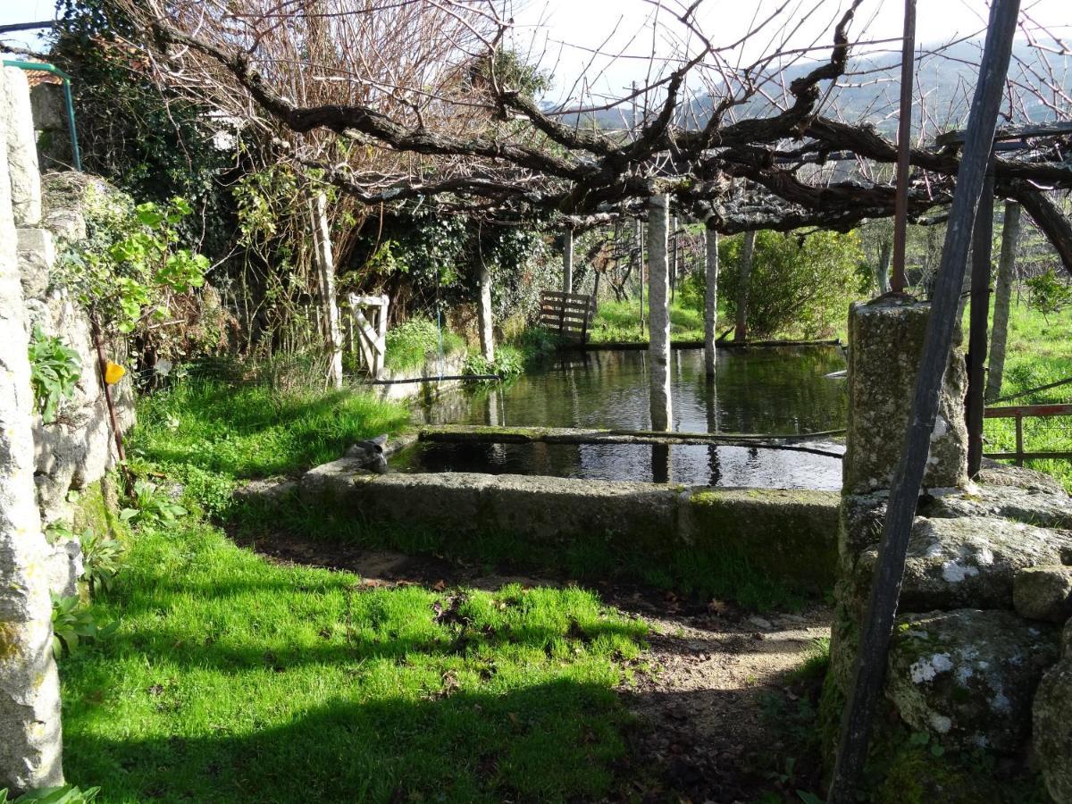 Quinta De S. Cipriano Villa Resende Luaran gambar