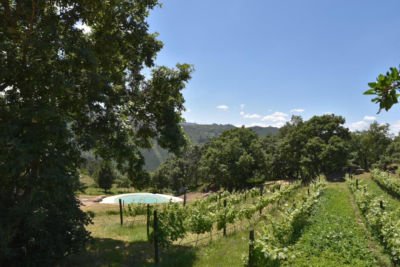 Quinta De S. Cipriano Villa Resende Luaran gambar